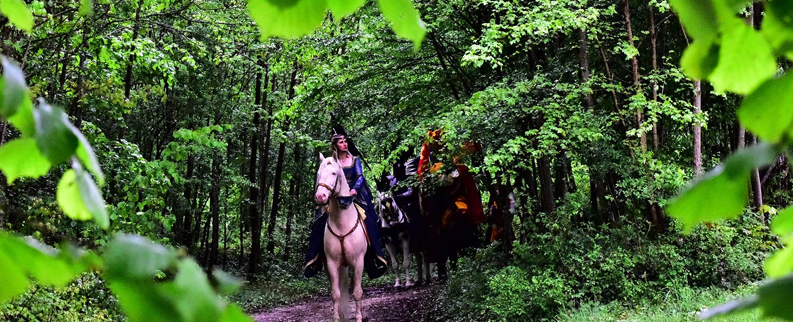 balade équestre en forêt pour séminaire de cohésion